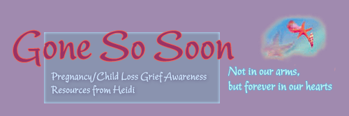Gone So Soon - Pregnancy Infant Child - Loss and Grieving
